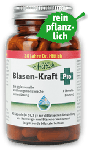 Blasen-Kraft Pro Tagesangebot 2+3 