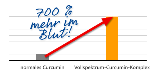 Grafik: Voll-Spektrum-Curcumin-Komplex 700 % mehr im Blut