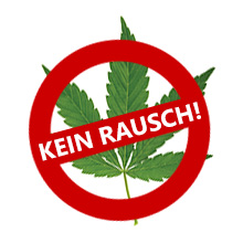 Spruch Kein Rausch! auf Hanfblätter