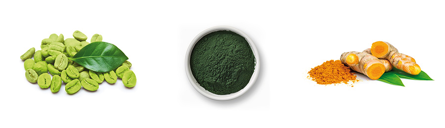 Grüne Kaffebohnen, eine Schale mit Spirulina und Curcuma-Würzeln nebeneinander auf weißen Hintergrund