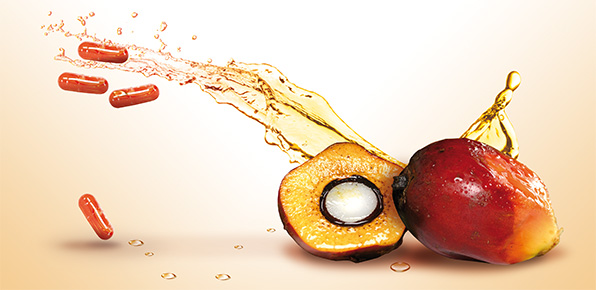 Palmfrucht neben Super Vitamin E Intenz Kapseln