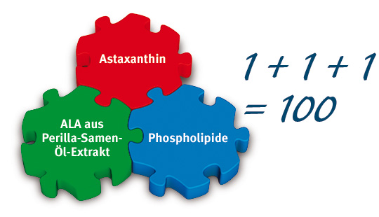 Phospholipid 3-fach Kraft: Drei Puzzle-Teile mit den Begriffen Astaxanthin, ALA und Phospholipide drauf. Ausserdem: 1+1+1=100