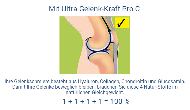 Ultra Gelenk-Kraft Pro C - Ihre Gelenkschmiere besteht aus Hyaluron, Collagen, Chondroitin und Glucosamin