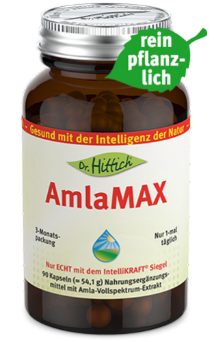 Artikelbild des Artikels “AmlaMAX “