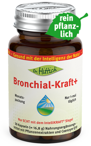 Artikelbild des Artikels “Bronchial-Kraft+ <span>- Kapseln</span> “