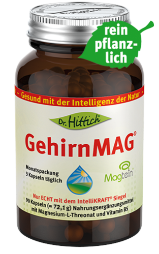 Artikelbild des Artikels “GehirnMAG® “