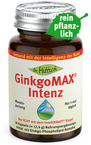 Artikelbild des Artikels “GinkgoMAX<sup>®</sup> Intenz <span>- Ginkgo-Kapseln</span> “