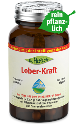 Artikelbild des Artikels “Leber-Kraft “