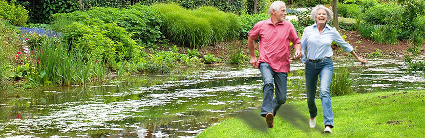 Mega-Rot ®   arthro L   - Omega-3 Gelenk-Kapseln 