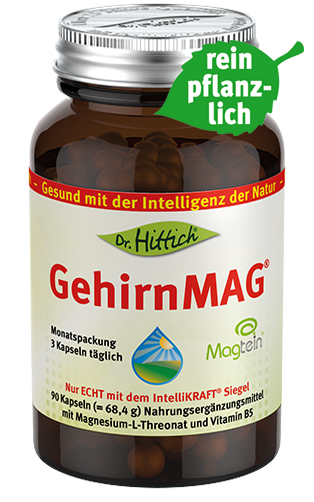 Artikelbild 1 des Artikels “GehirnMAG® “